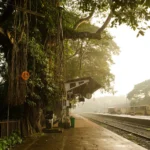 best travel company in kerala