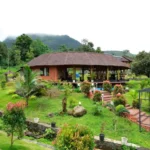 best travel company in kerala