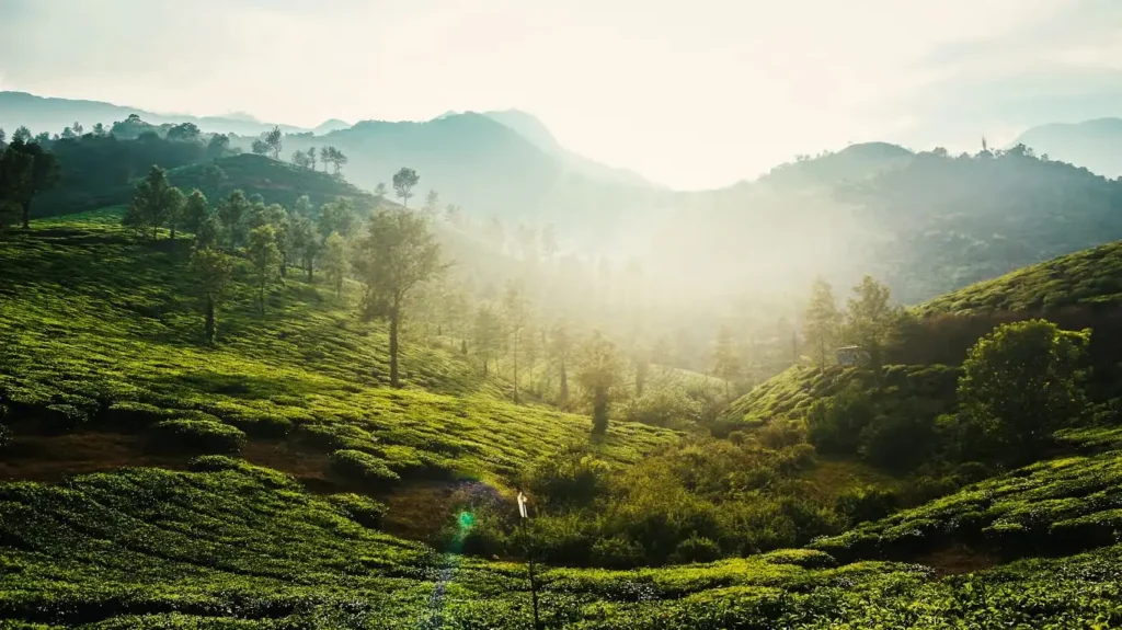best travel company in kerala